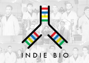 IndieBio Accelerator logo featured in the cover image for the article 'How to Get Accepted to IndieBio Accelerator'.