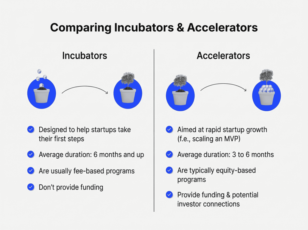 Comparing startup accelerators and incubators infographic