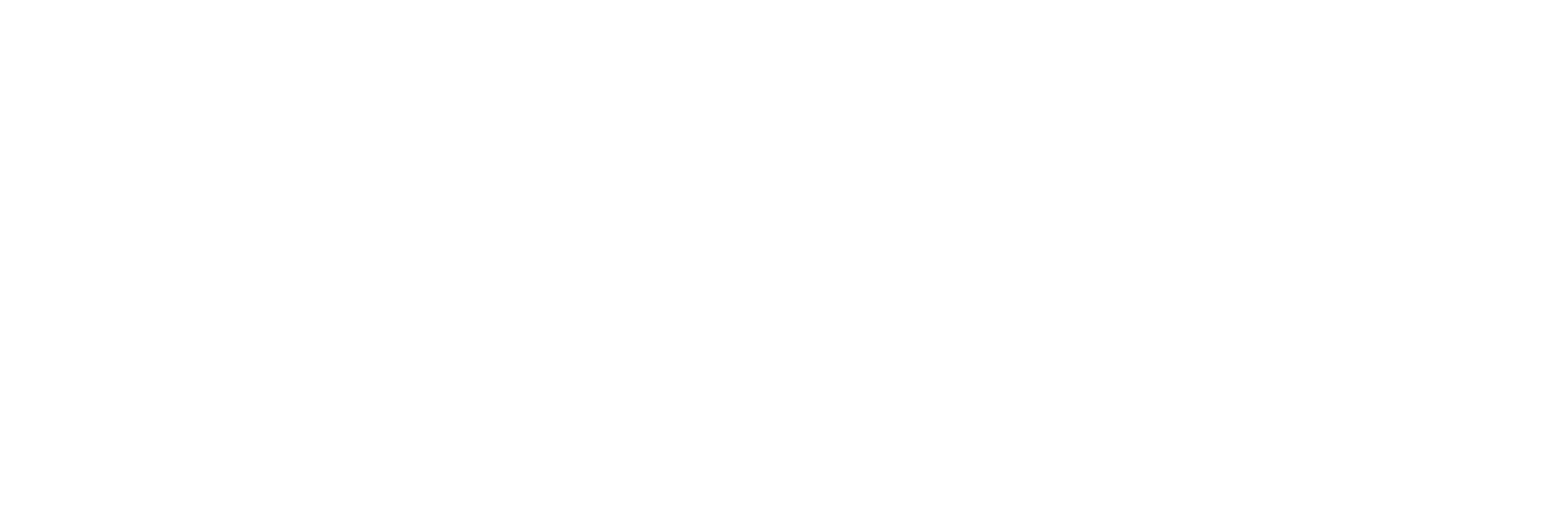 XRaise blog
