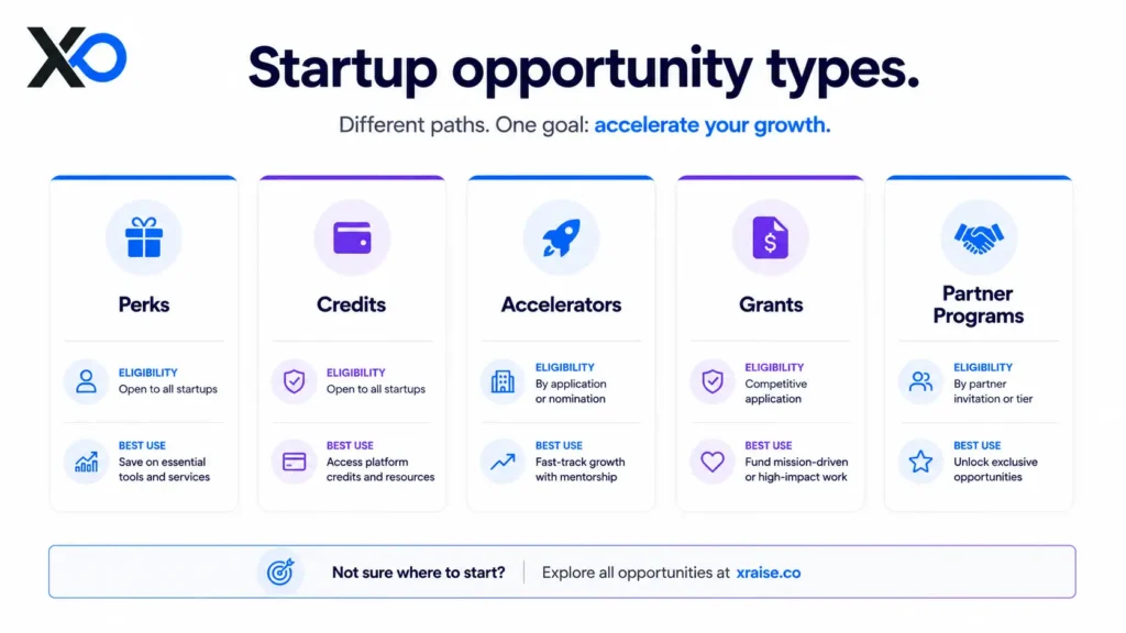 XRaise infographic with five opportunity cards for perks, credits, accelerators, grants, and partner programs